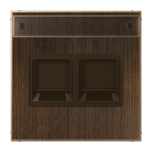 Placa Mod.Jack 2 tomas inscr. LS lat an