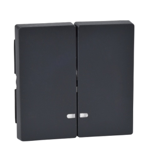 Rocker 2-gang with indicator window, anthracite, System M