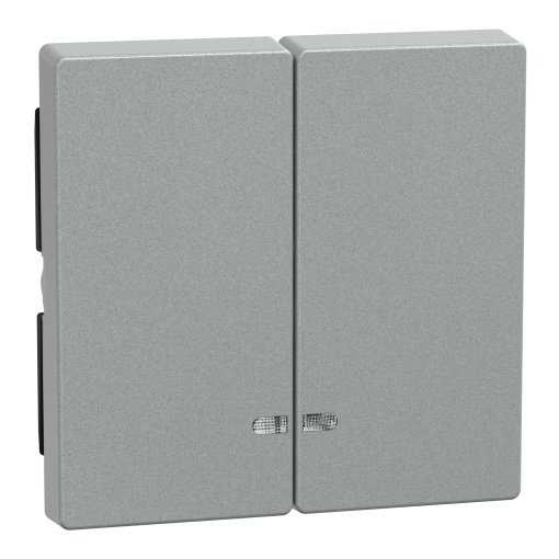 Rocker 2-gang with indicator window, aluminium, System M