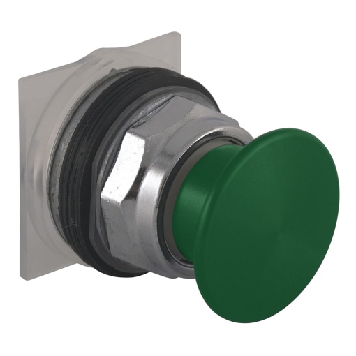 Momentary Push Button