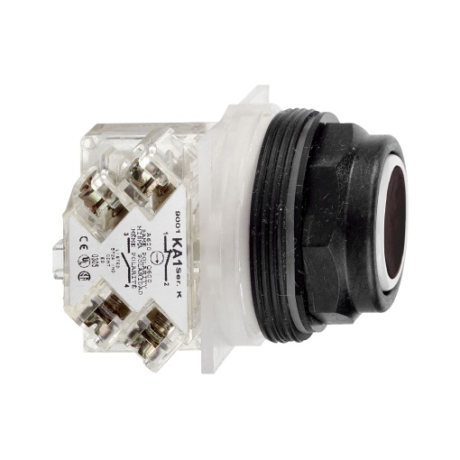 PUSHBUTTON 600VAC 10AMP 30MM SK OPTIONS