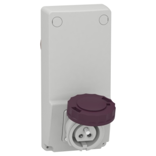 interlocked socket - 16 A - 2P - 230 V AC - IP 65 - panel