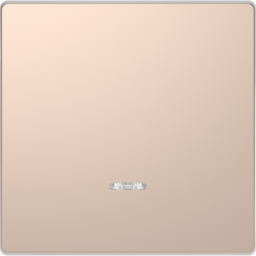 D-Life - Tecla com visor - Metal champanhe