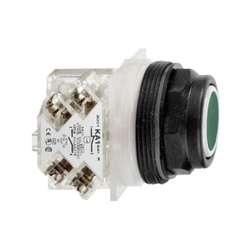 PUSHBUTTON 600VAC 10AMP 30MM SK OPTIONS