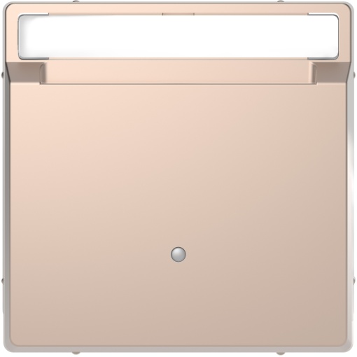 D-Life - Interruptor de cartão com porta-etiqueta - Metal champanhe