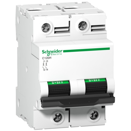 C120H - circuit breaker - 2P - 80A - C curve