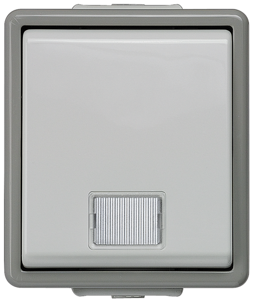 DELTA fläche IP44 surfacem switch with pilot lamp for ONOFF switching with