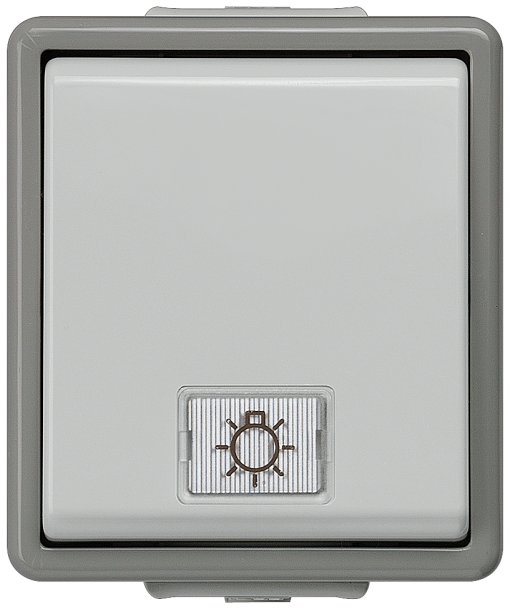DELTA fläche IP44 surfacem OFF switch with window and LED insert