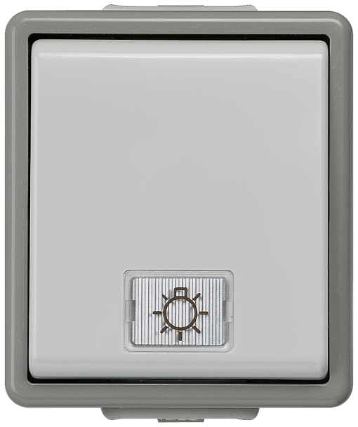 DELTA fläche IP44 surfacem pushbutton with window and LED insert 1pole 1 NO