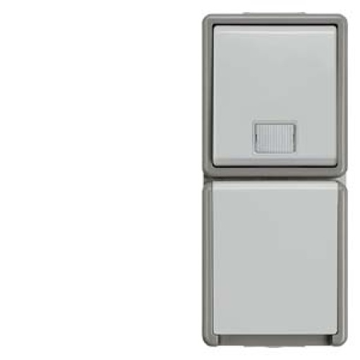 DELTA fläche IP44 surfacem combination of pushbutton and SCHUKO socket outl