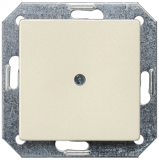 DELTA isystem blanking cover plate electric white