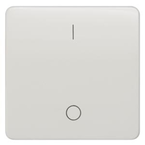 DELTA profil rocker with IO symbols for OFF switch titanium white