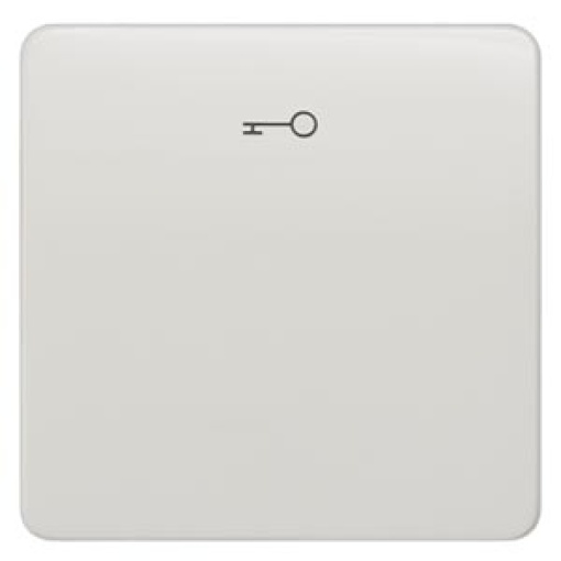 DELTA profil rocker with door opener symbol titanium white