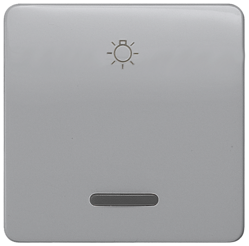 DELTA profil rocker with window and light symbol silver