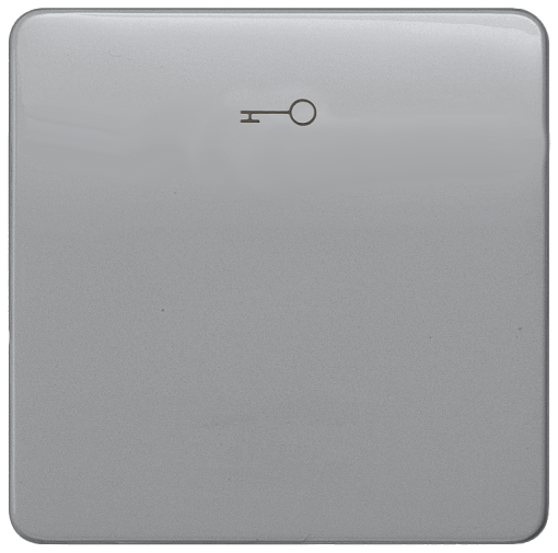 DELTA profil rocker with door opener symbol silver