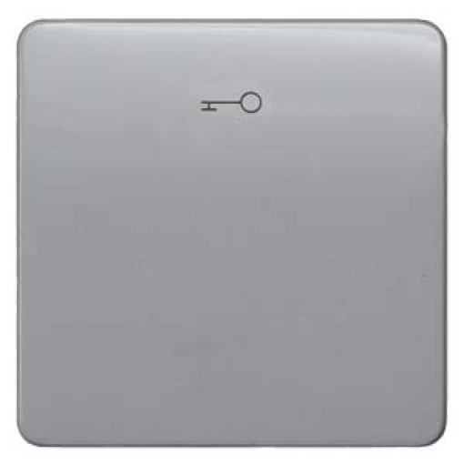 DELTA profil rocker with door opener symbol silver