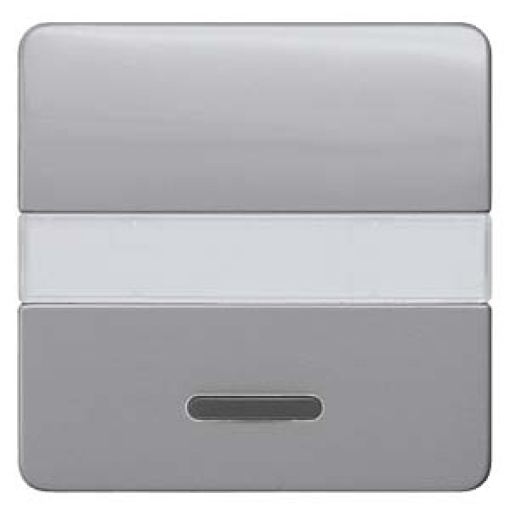 DELTA profil rocker with window and labeling field silver