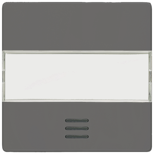 DELTA isystem rocker with window and labeling field carbon metallic