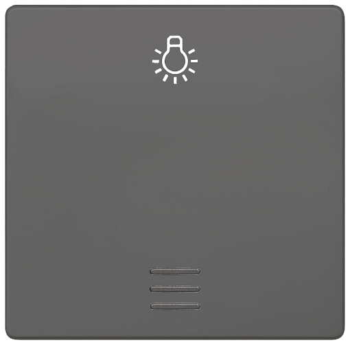 DELTA isystem rocker with window and light symbol carbon metallic