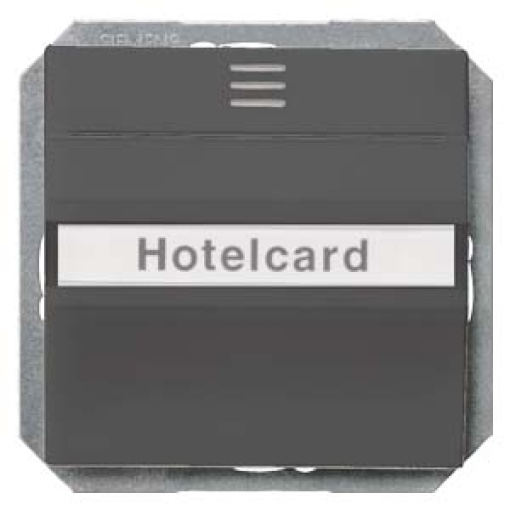 DELTA isystem hotel card switch illuminated with window and labeling field 