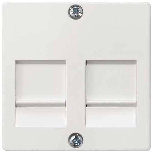 DELTA isystem cover plate for modular jack support plate with labeling field