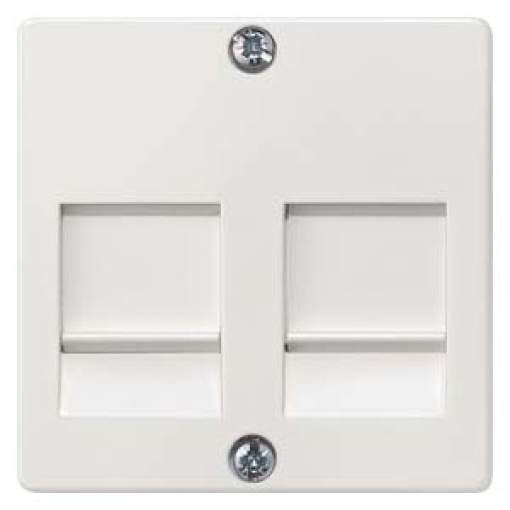DELTA isystem cover plate for modular jack support plate with labeling field