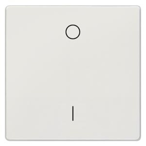 DELTA style rocker with IO symbols for OFF switch platinum metallic