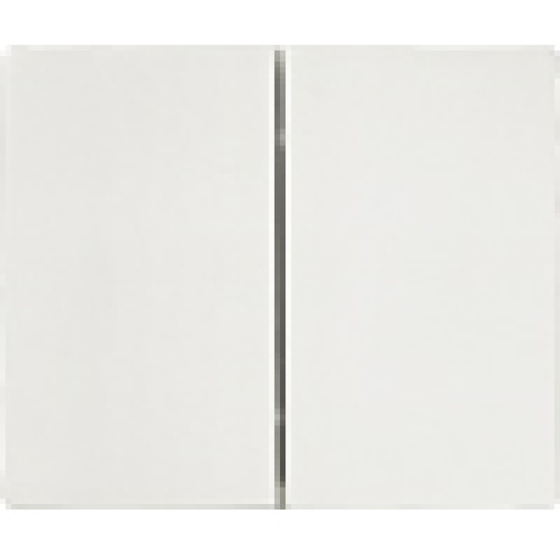 IRIS Rocker switch 2fold polar white