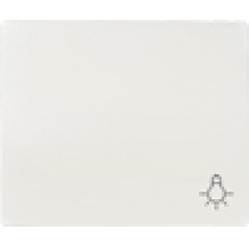 IRIS Rocker switch with symbol light polar white