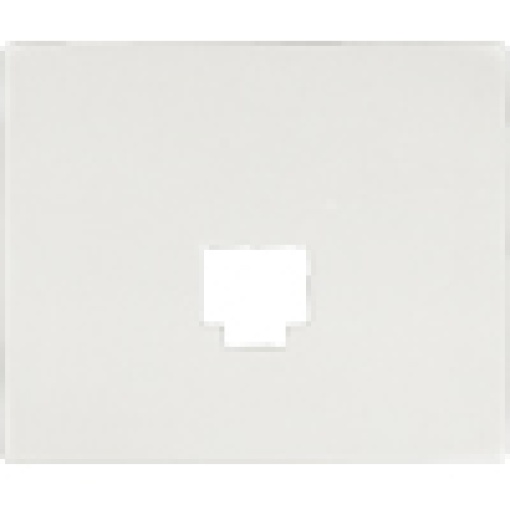 IRIS Cover plate for Adapter 1fold RJ45 RJ11 polar white