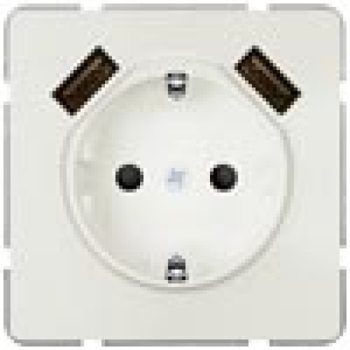 DELTA style SCHUKO socket outlet with double USB charger titanium white