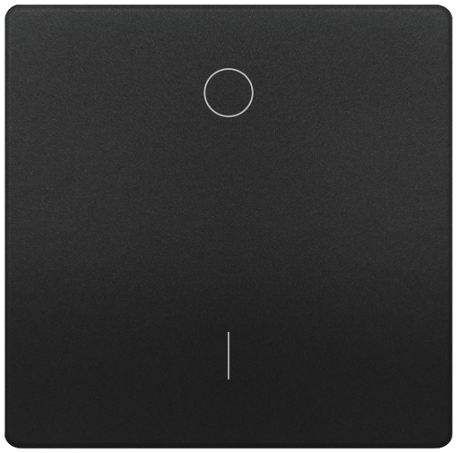 DELTA style rocker with IO symbols for OFF switch anthracite