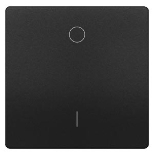 DELTA style rocker with IO symbols for OFF switch anthracite