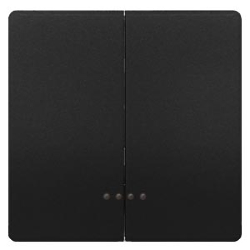 DELTA style rocker double with window for two-circuit switch, anthracite