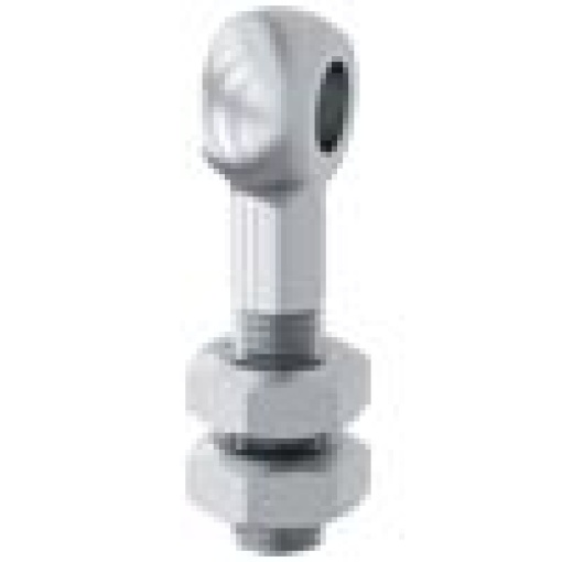 Eyebolt M10 incl nut