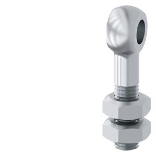 Eyebolt M10 incl nut