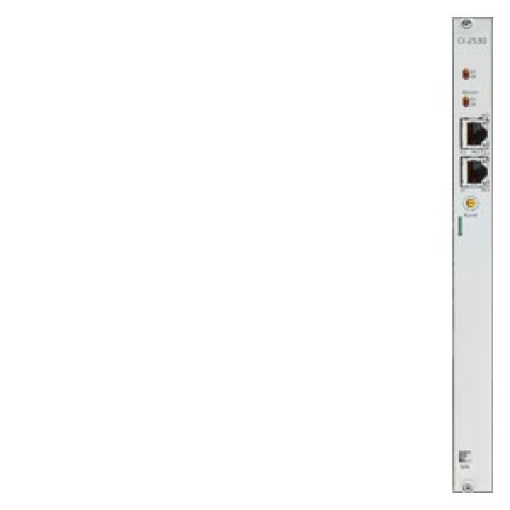SICAM A8000 CI2530 is an Ethernet expansion module for the connection of 19