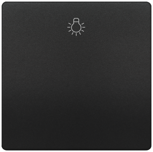 DELTA style rocker with light symbol, anthracite