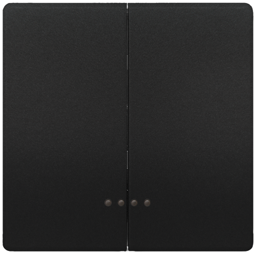 DELTA style rocker double with window for two-circuit switch, anthracite