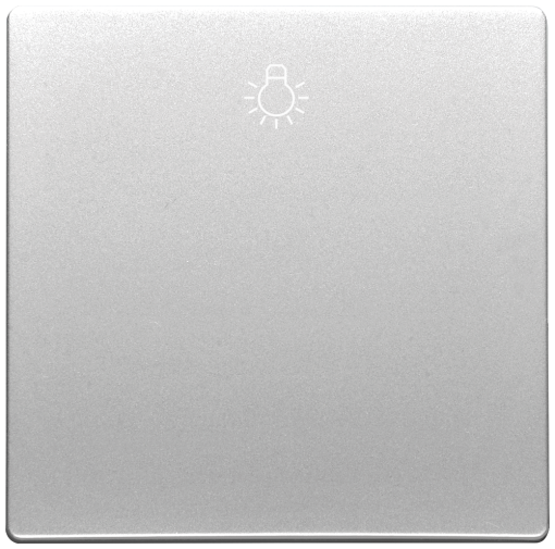 DELTA style rocker with light symbol, platinum metallic