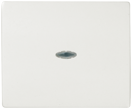 IRIS Rocker switch with transparent window polar white