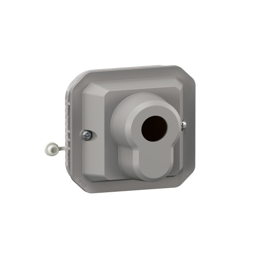 Plexo IP 55 componível - Botão com chave DIN - 3 posições, Cinzento